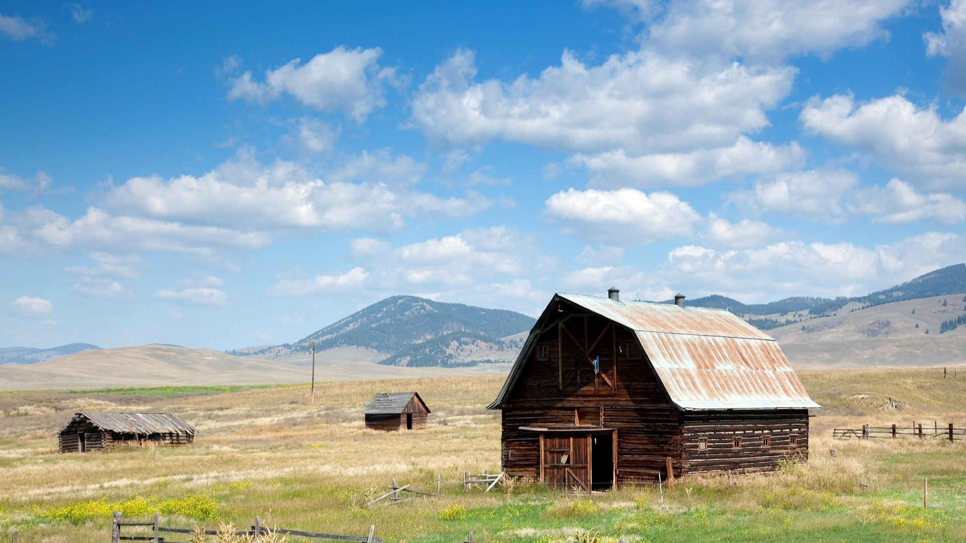 Square Dance (Copyright)